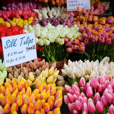 アパート New! Modern Gallery Nassau Canal アムステルダム